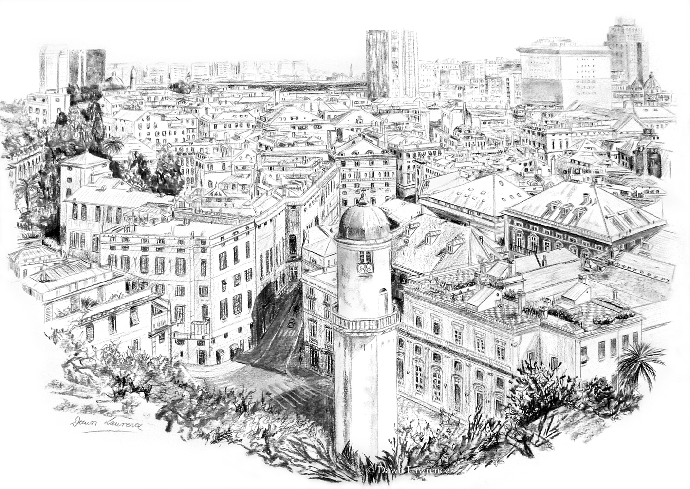 Genoa charcoal drawing by Dawn Lawrence